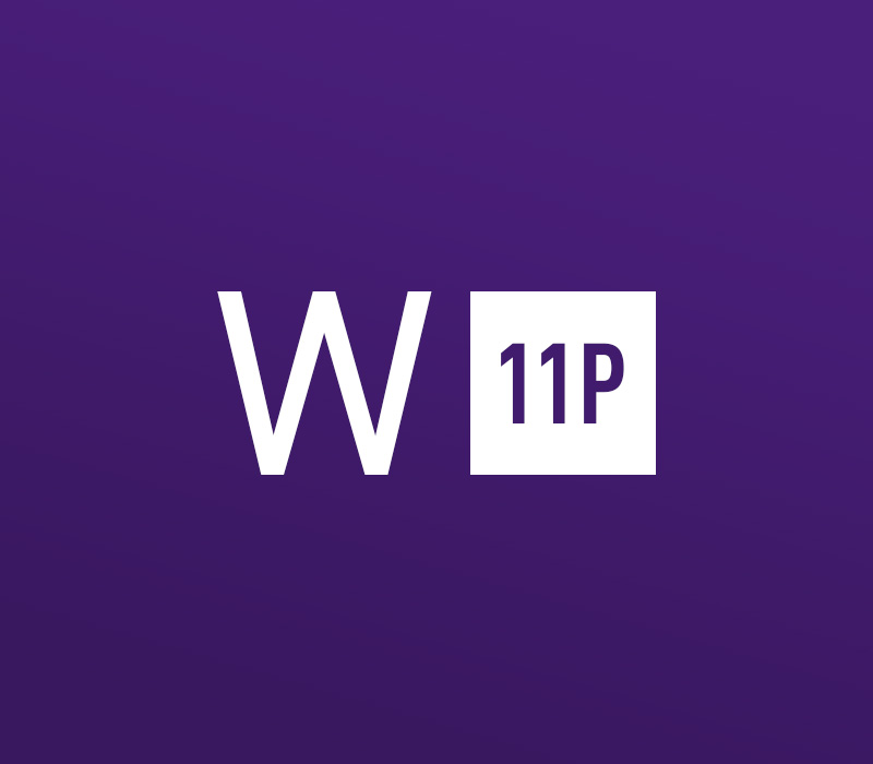 Windows 11 Professional OEM Key - API $20.89