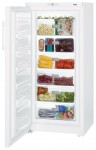 Liebherr GP 3013 Холодильник <br />75.00x155.50x69.70 см