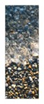Snaige RF34SM-S10021 34-23 冰箱 <br />65.00x185.00x60.00 厘米