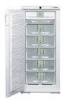 Liebherr GSNP 2426 Холодильник <br />68.30x144.70x66.00 см