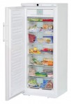 Liebherr GNP 2906 Холодильник <br />68.30x164.40x66.00 см