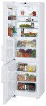 Liebherr CBN 3913 Холодильник <br />63.00x201.10x60.00 см