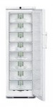 Liebherr G 3123 Холодильник <br />63.10x184.10x60.00 см