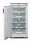Liebherr GSP 2226 Холодильник <br />68.30x125.00x66.00 см