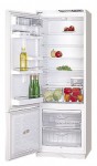 ATLANT МХМ 1841-37 Холодильник <br />64.00x176.00x60.00 см