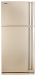 Hitachi R-Z662EU9PBE Холодильник <br />71.50x181.00x84.50 см