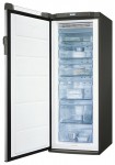 Electrolux EUF 20430 X Buzdolabı <br />65.80x154.00x59.50 sm
