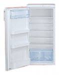 Hansa RFAC200iM Холодильник <br />60.00x120.00x55.80 см
