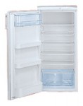 Hansa RFAM200iM Холодильник <br />60.00x120.00x55.80 см