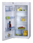 Hansa FC200BSW Холодильник <br />60.50x122.00x55.80 см