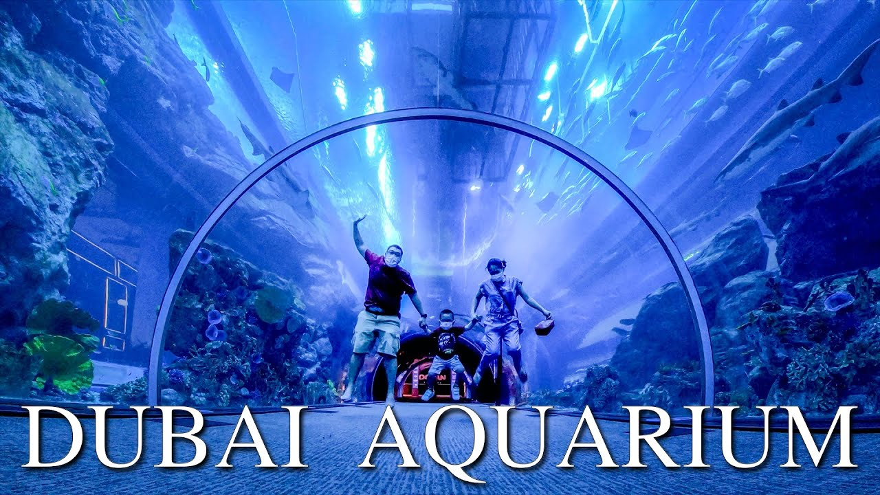 Dubai Aquarium & Underwater Zoo 50 AED Gift Card AE $16.02