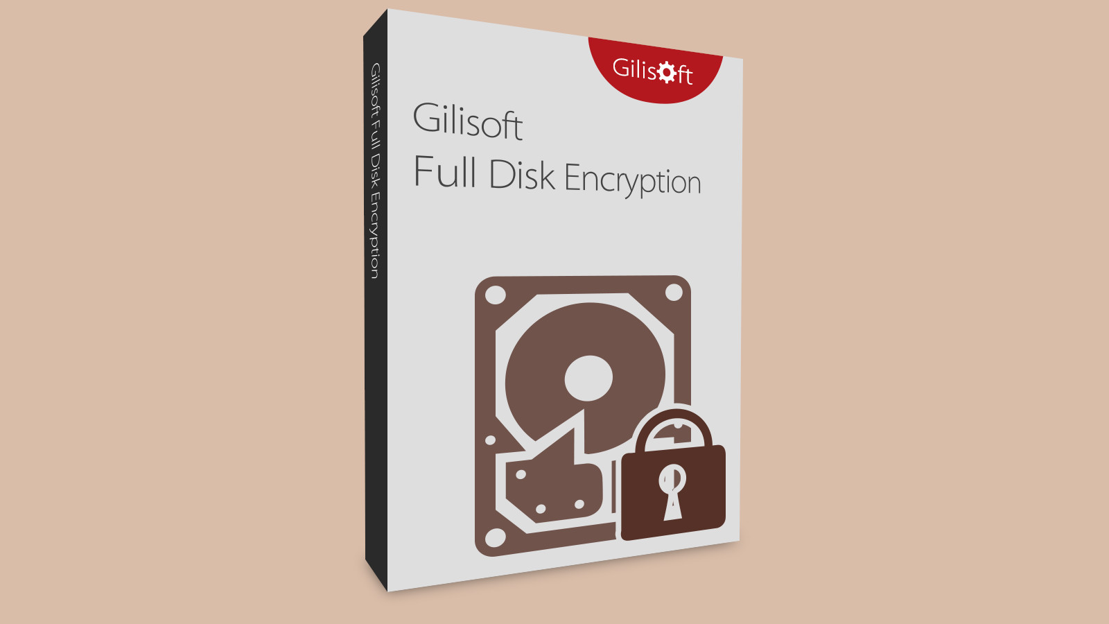 Gilisoft Full Disk Encryption CD Key $19.72